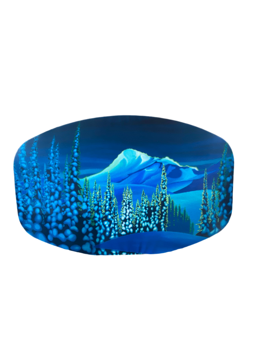 GOGGLE SOC PRO