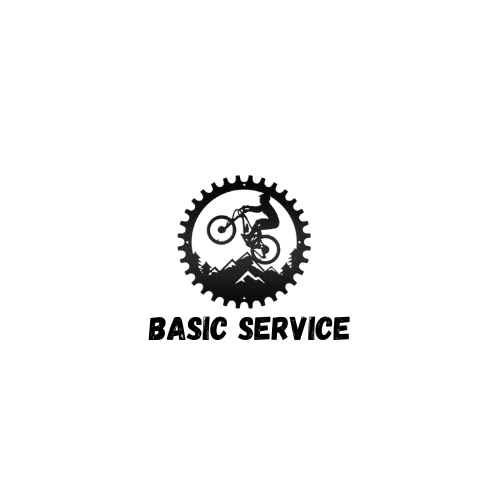 BASIC BIKE SERVICE